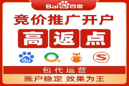 某品牌通过百度广告实现快速增长的案例